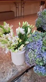 Seguimos hoy en la super master class organizada por nuestra querida Loren y Ana Maria de Florenzza con la destacada y magistral diseñadora floral JULIANA BUSTILLO de Ora Colombia. @florenzzard @ora.floralagency @gladysquinonesweddingplanner Tus Eventos modernos, actualizados, vanguardistas y UNICOS en #repúblicadominicanalotienetodo